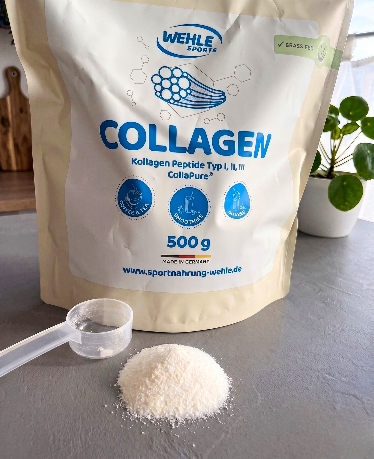 Wehle Collagen Matrix 360°
