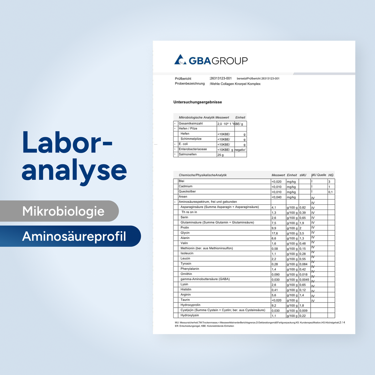 Laboranalyse — Aminosäureprofil: Prüfbericht 26313123-001 der GBA Group.