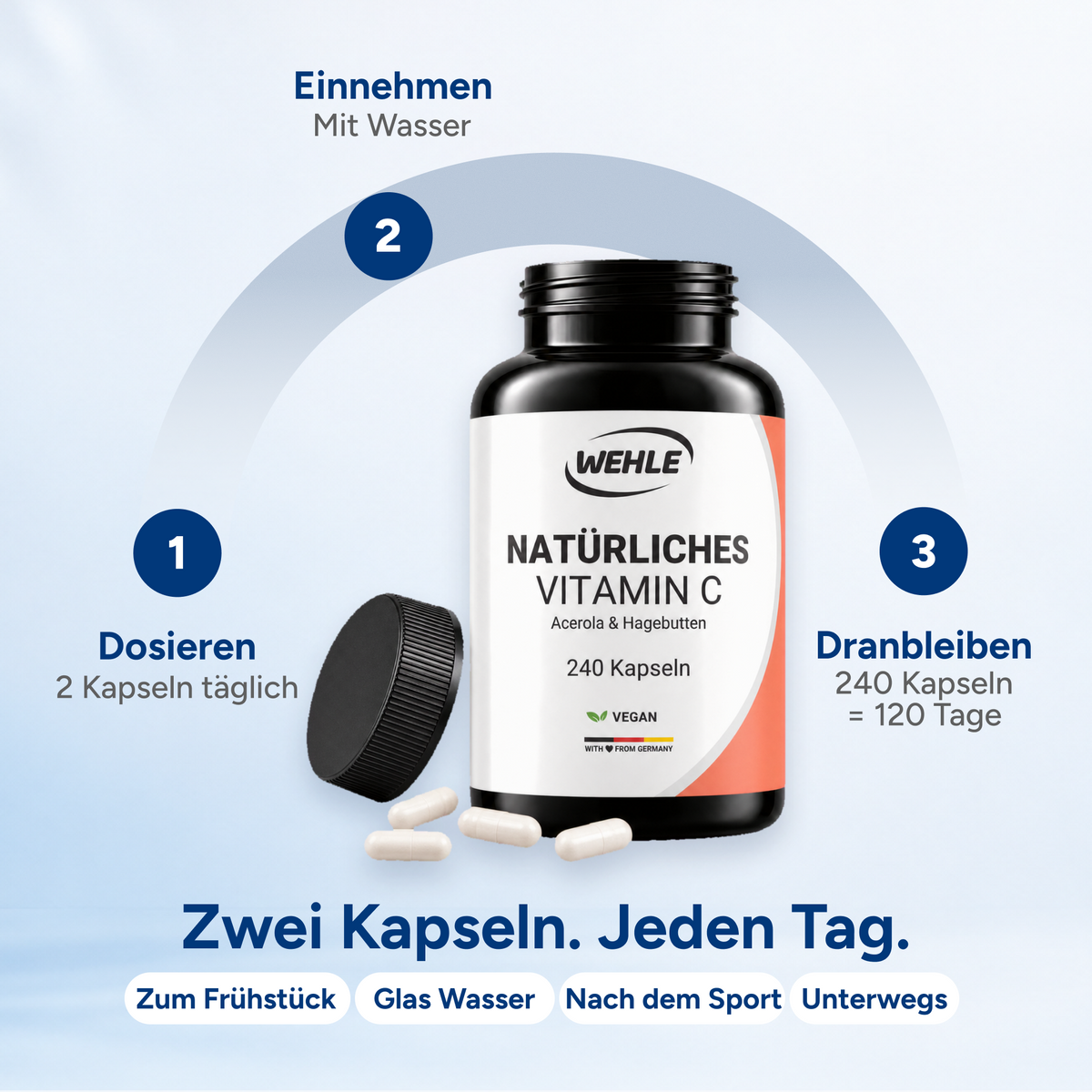 Natürliches Vitamin C Acerola Extrakt Hagebutten Extrakt - 240 Kapseln