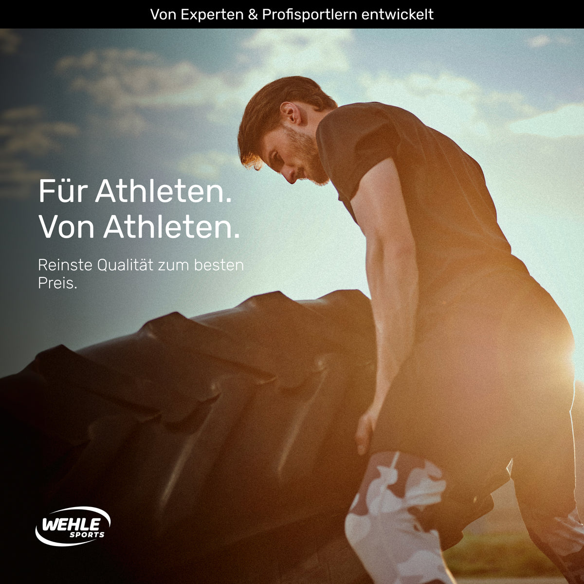 Wehle Multi Amino EAA Aminosäuren Pulver (MHD 12/2026)