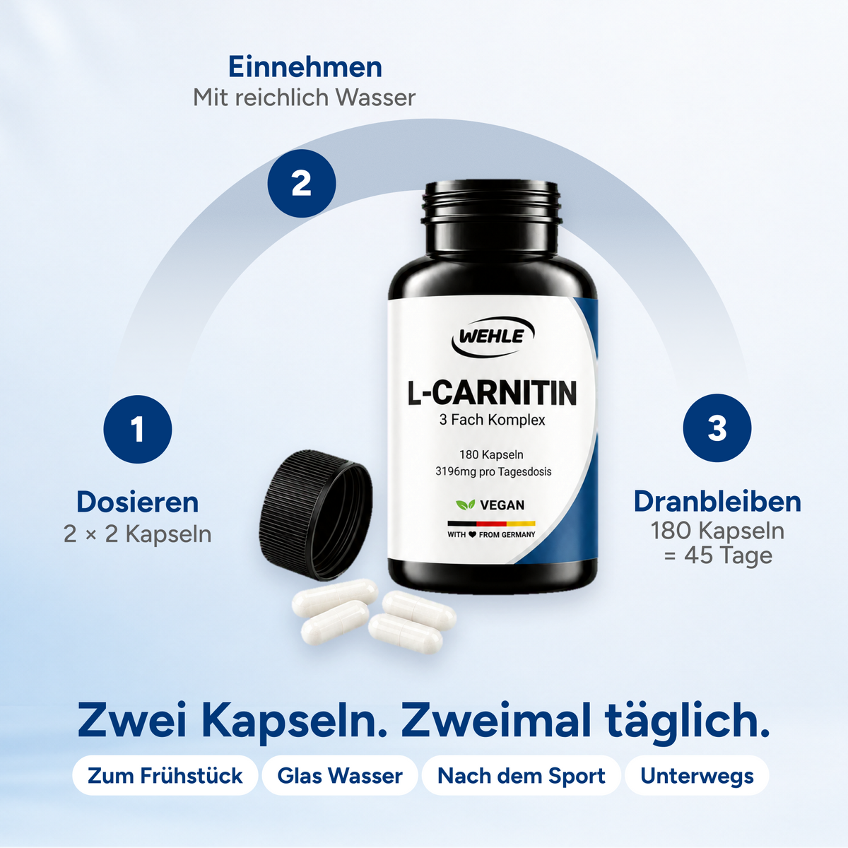 L-Carnitin Kapseln Hochdosiert - 180 Kapseln