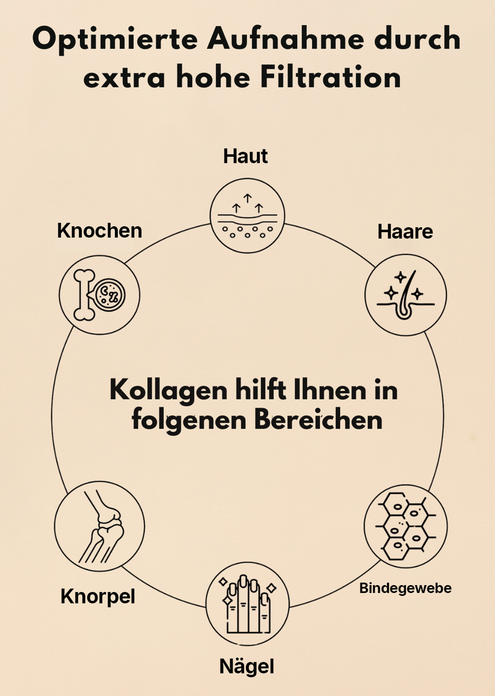 Wehle Collagen Matrix 360° Bestandskunden Angebot