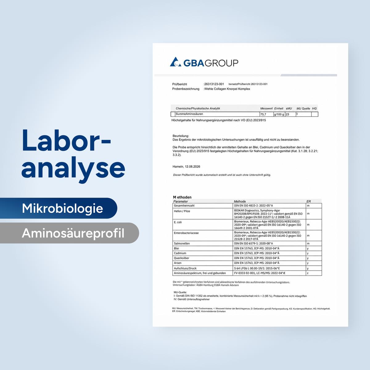 Laboranalyse — Mikrobiologie: Prüfbericht 26313123-001 der GBA Group.